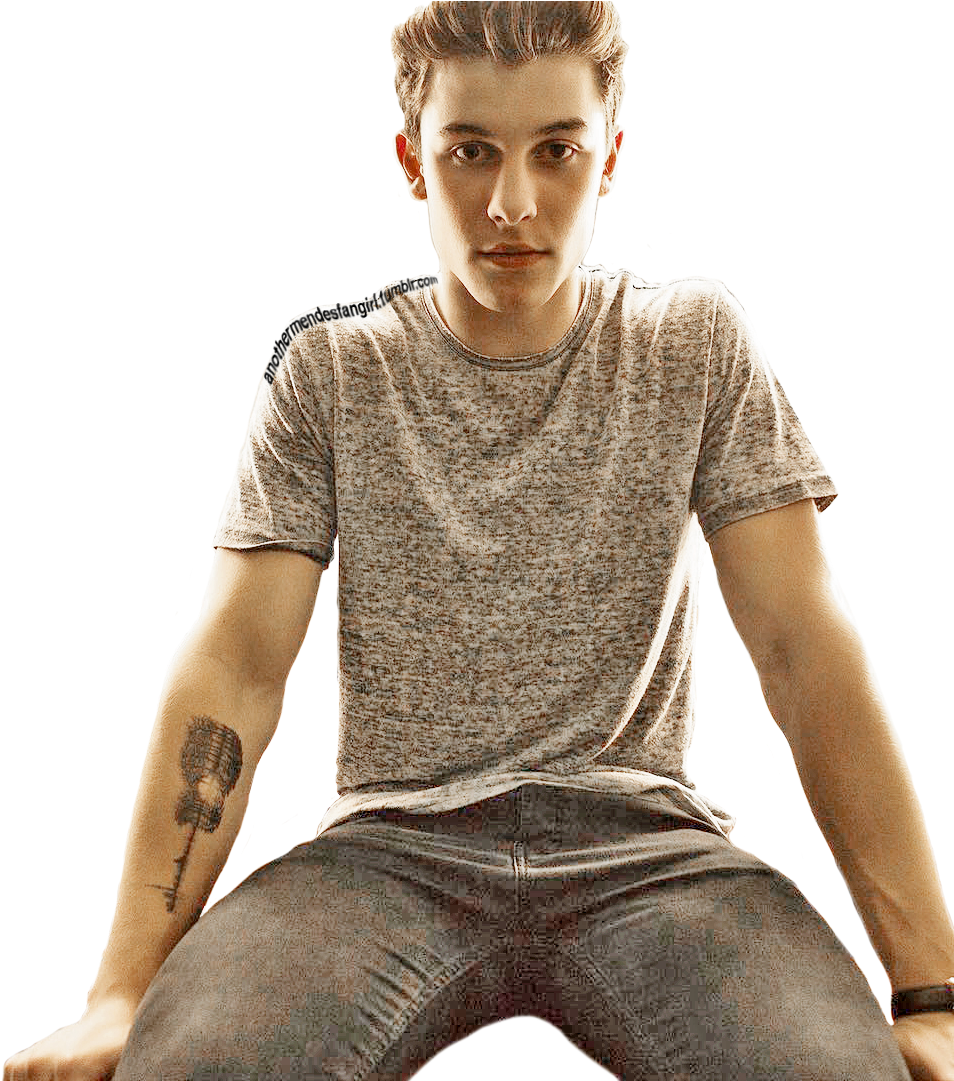 Reblog This Transparent Shawn For Good Blog Luck, He - Transparent Shawn Mendes Png (960x1080), Png Download