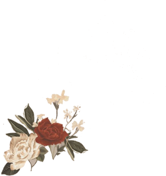 New Shawn Mendes Era - Shawn Mendes Sm3 Flowers (400x400), Png Download
