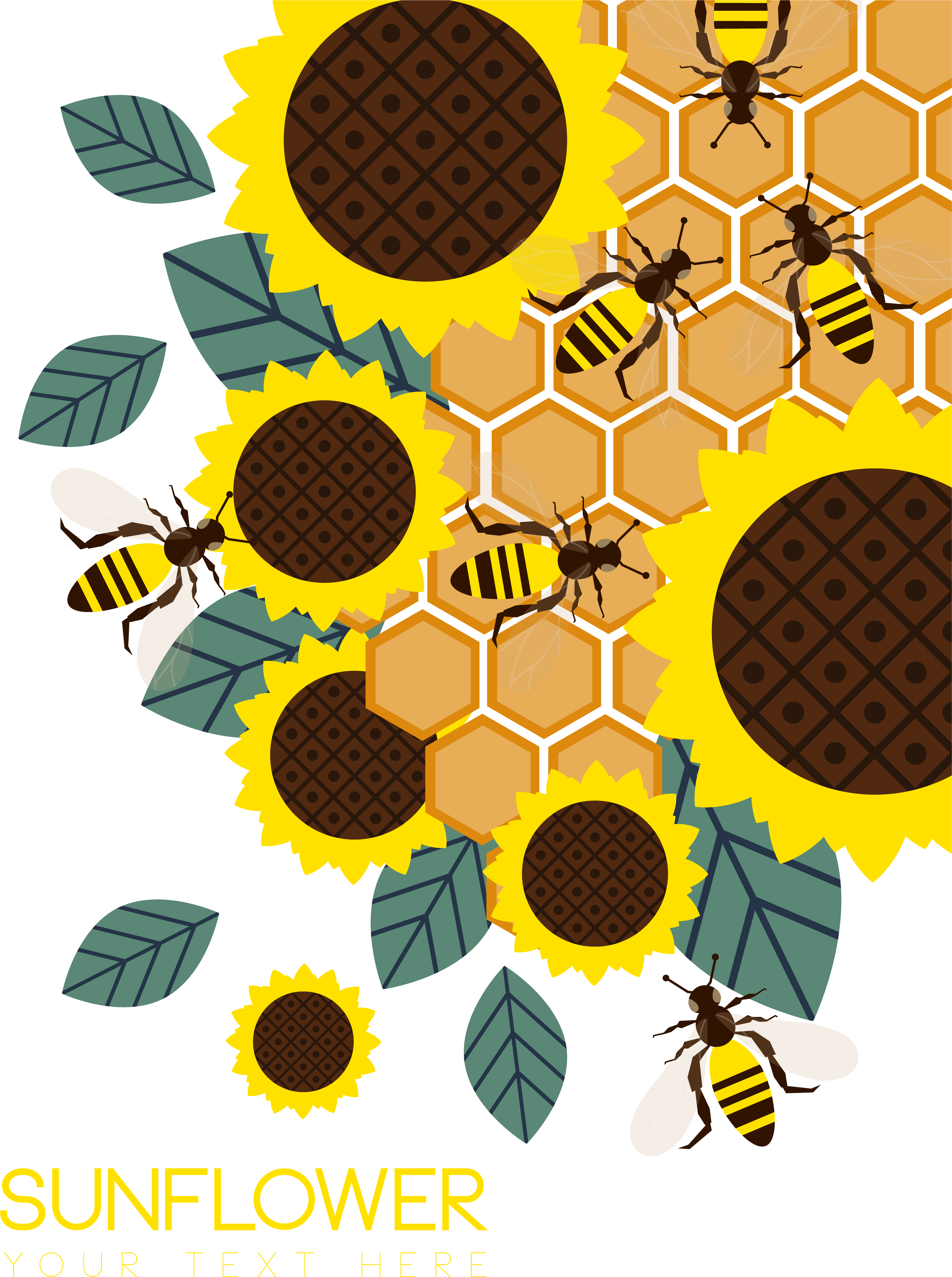 Svg Freeuse Download Honey Common Sunflower Bees Gather - Girasol Abejas (4439x5794), Png Download