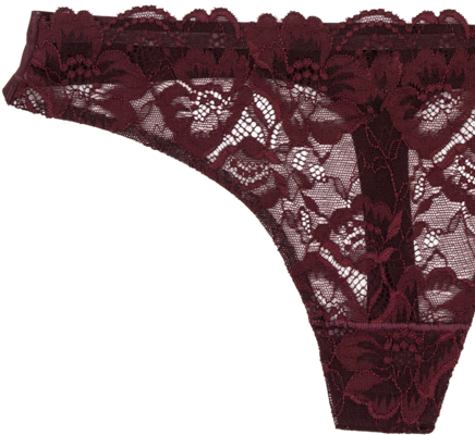 Lace Front Seamless Thong - Lace Wig (450x600), Png Download