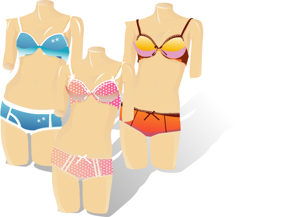 Swimsuit Panties Undergarment Clothing Bikini - Vector (447x340), Png Download