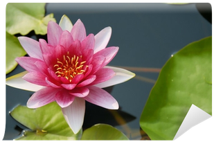 Plantas De La Naturaleza (400x400), Png Download