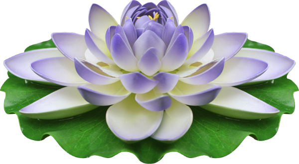 Visit - Wallpaper (600x330), Png Download