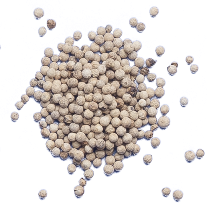 Cancer (700x700), Png Download