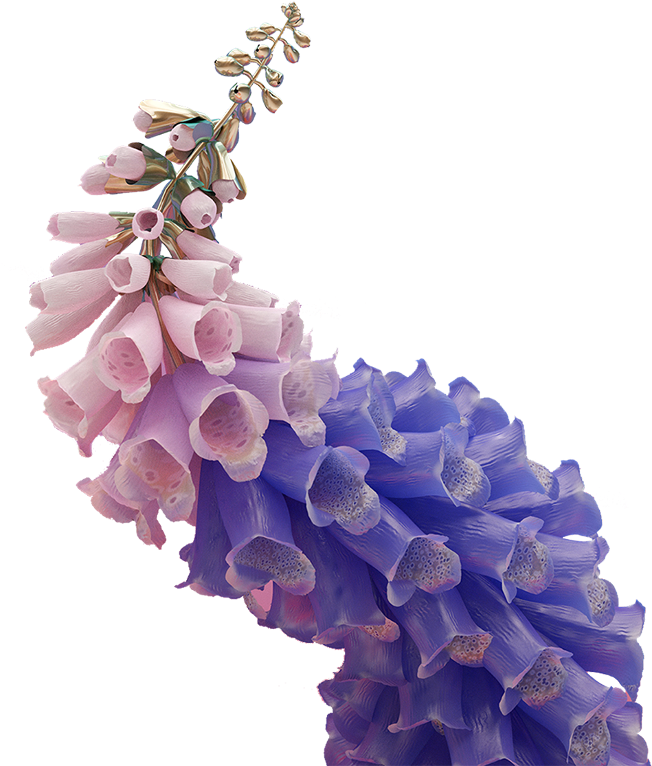 Edit Needs On We Heart It - Flume Skin Flower (1200x1200), Png Download