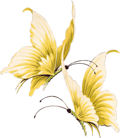 Beautiful Butterfly By Vanessyca71-d3d2dnf - Gold Butterfly Transparent Background (400x458), Png Download