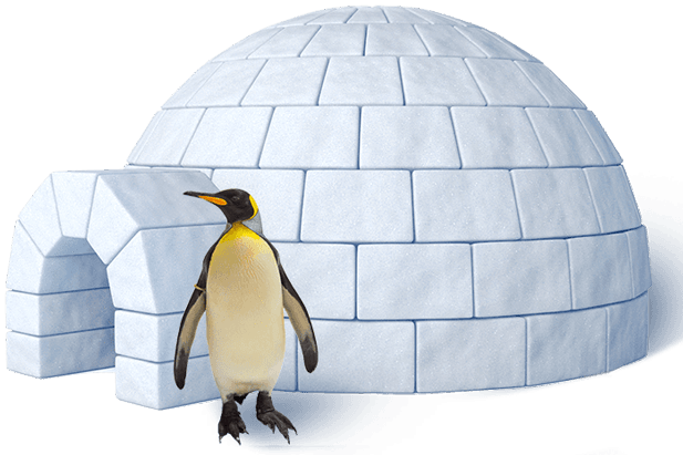Graphic Royalty Free Penguins Our King And Gentoo At - Igloo House (617x411), Png Download
