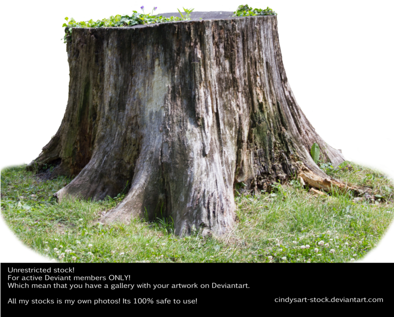 Stump 3 By Cindysart-stock - Tree (800x674), Png Download
