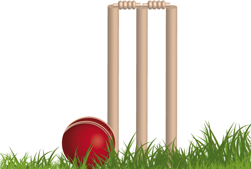 Cricket Stumps Png Free Download - Cricket Png (842x595), Png Download
