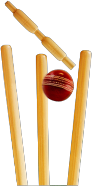 Stumps - Cricket Ball And Stumps Png (420x704), Png Download
