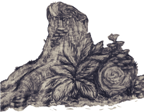 Rainforest Tree Stump - Rose (480x480), Png Download