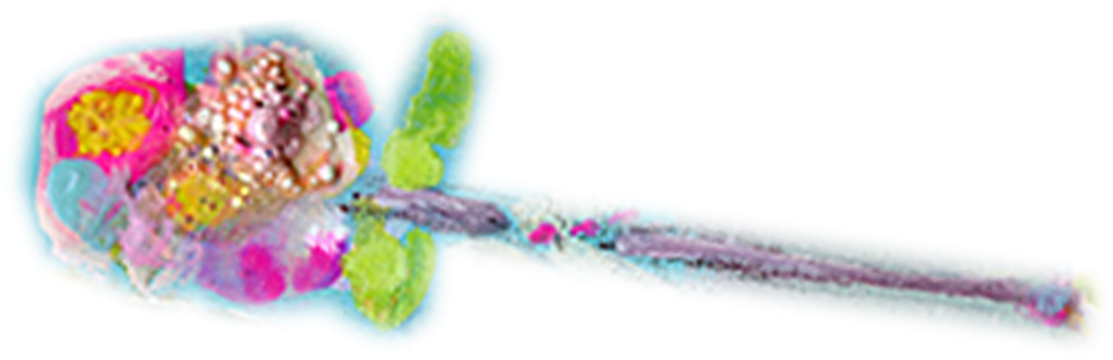 So Grab Your Magic Wand, Filled With Love, And Join - Craft (1262x450), Png Download