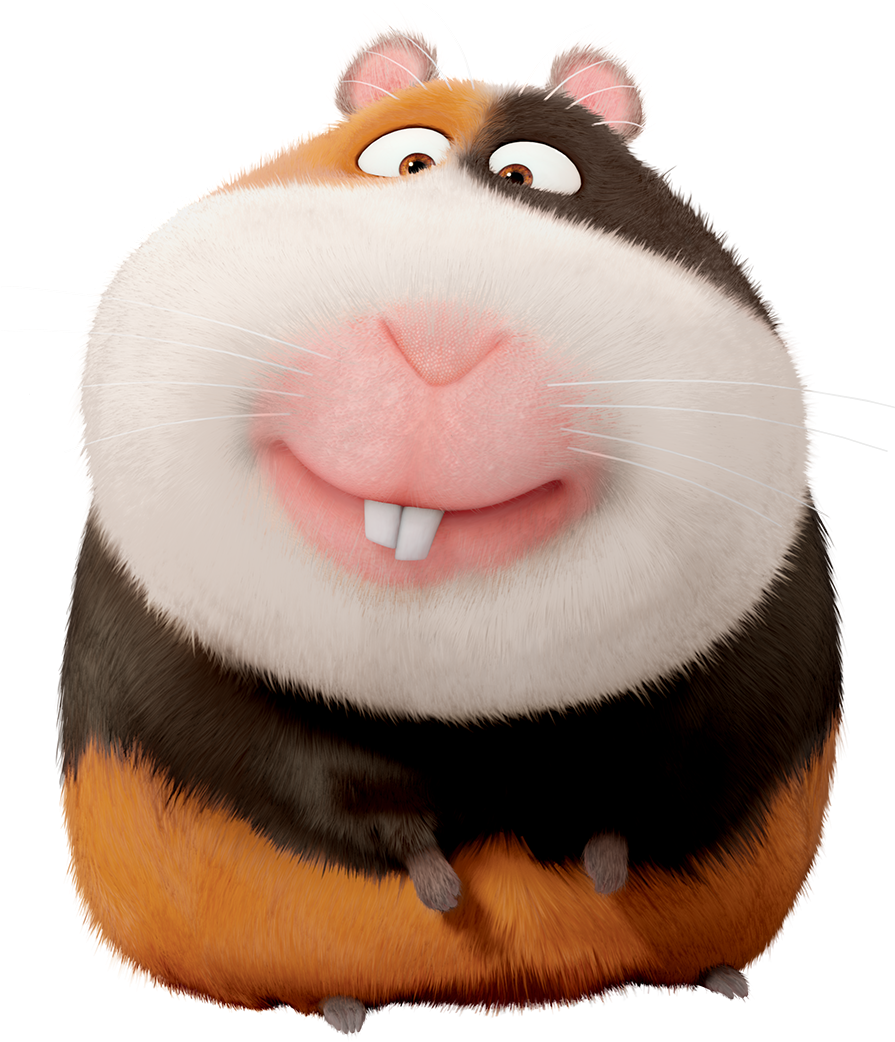 Norman The Secret Life Of Pets - Secret Life Of Pets Guinea Pig Name (894x1140), Png Download