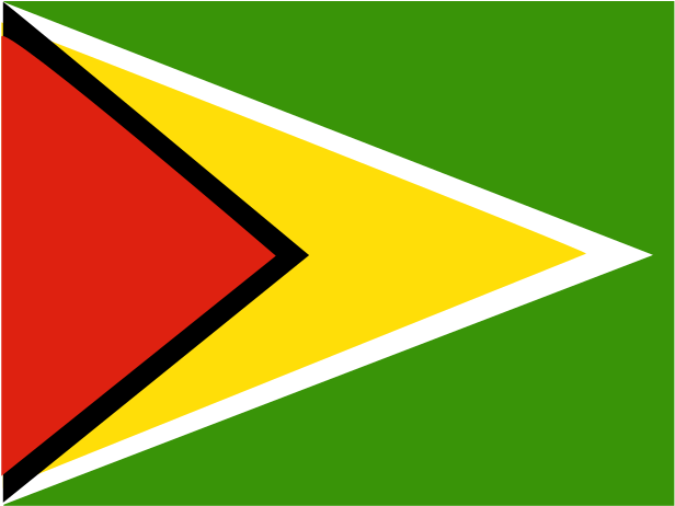 Flag Of Guyana Logo Png Transparent - Triangle (2400x1800), Png Download