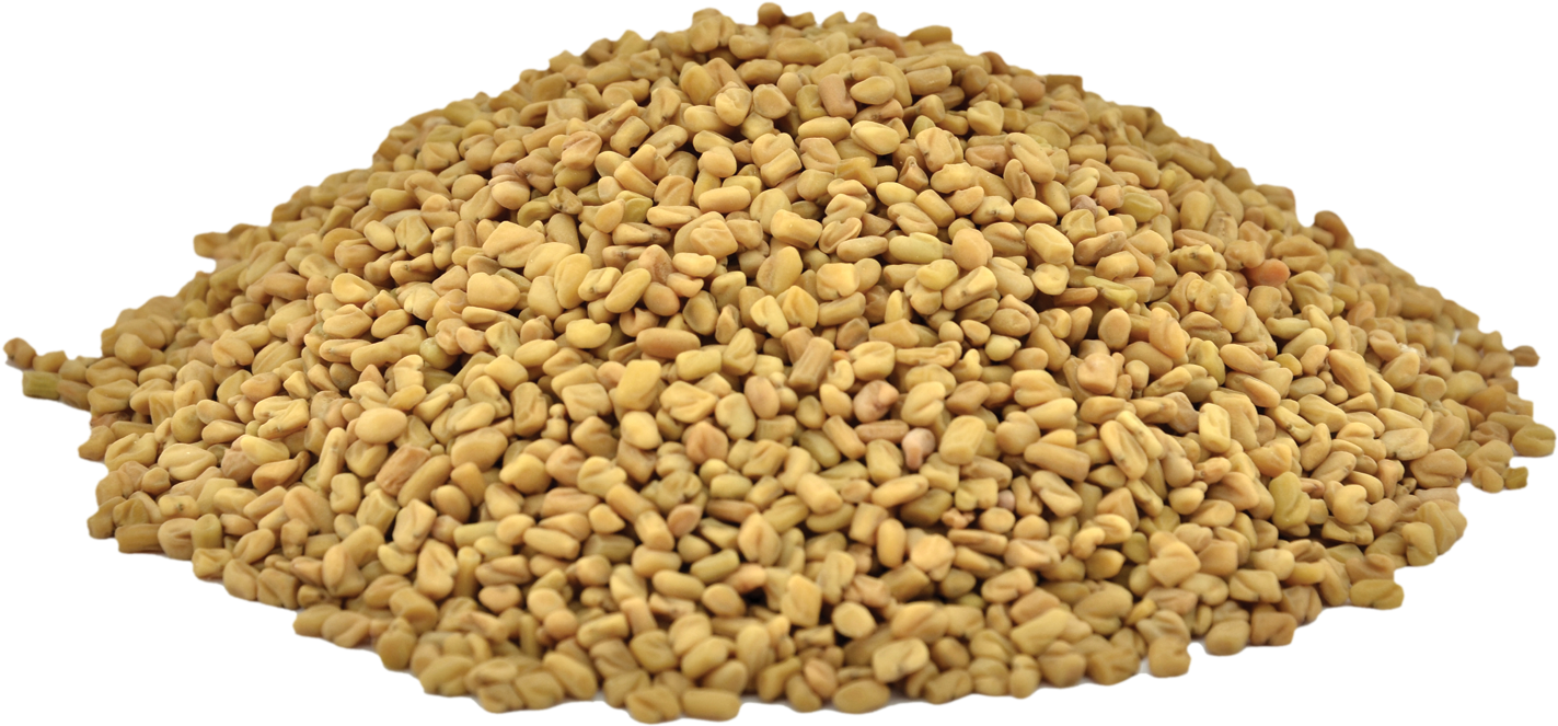 Organic Fenugreek Seeds - Fenugreek (1500x1000), Png Download