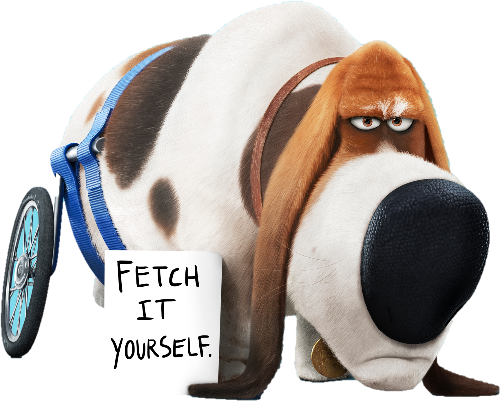 Бассет-хаунд Попс - Quote The Secret Life Of Pets (590x479), Png Download