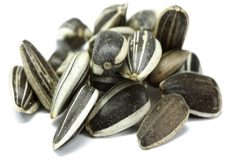 Sunflower Seeds Png Free Download - Ulei De Floarea Soarelui Presat La Rece (500x500), Png Download