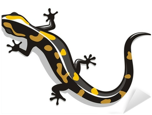Salamandra Vector (400x400), Png Download