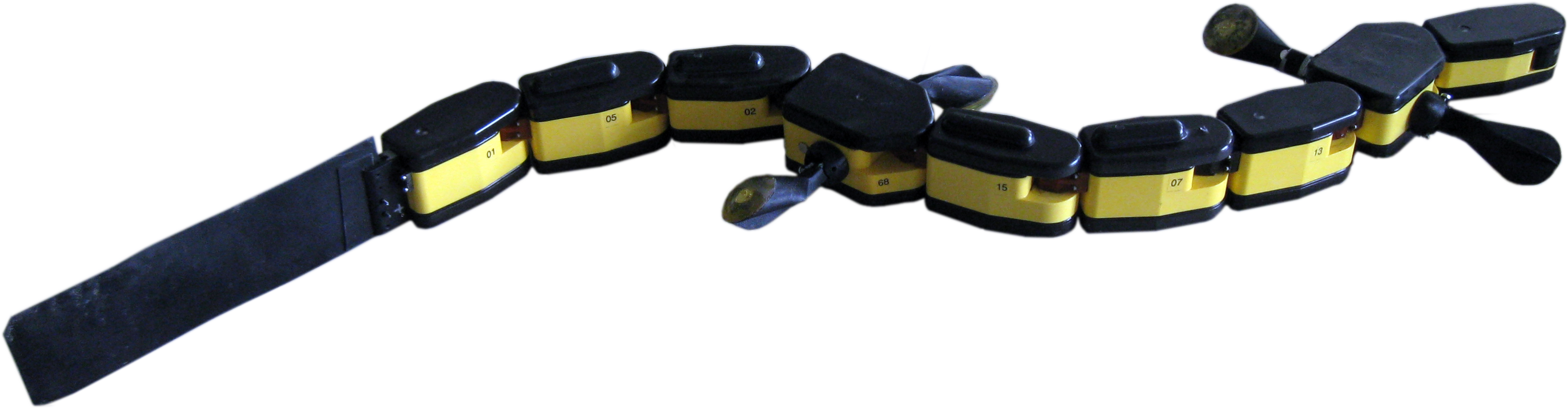 Modeling The Salamander Swimming Gait With Virtual - Salamander Robot (3288x1101), Png Download