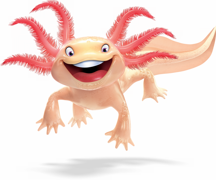Axolotl Vbs Clipart Salamander Axolotl Clip Art - Weird Animals Vbs Day 1 (900x750), Png Download