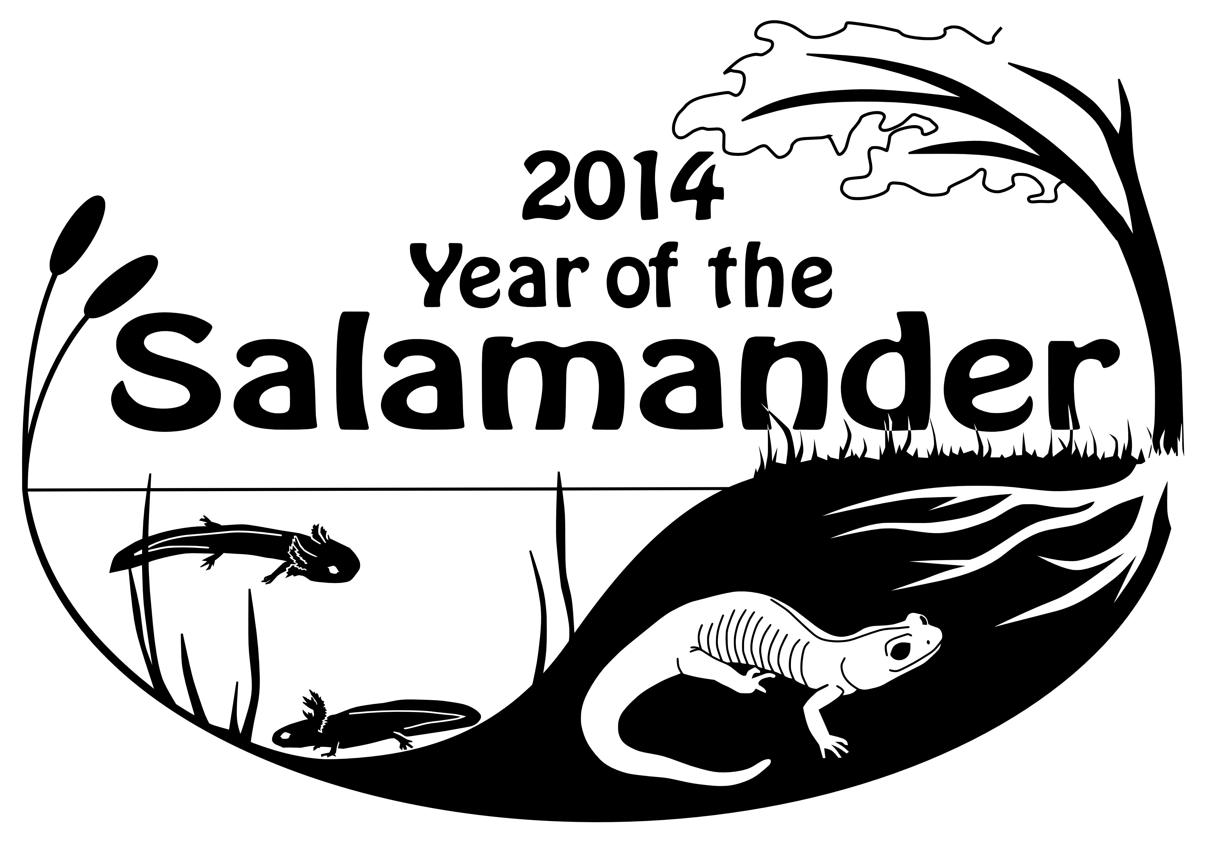 Partners In Amphibian And Reptile Conservation Is An - Cafepress 2014 Year Of The Salamander Calendar (4046x2827), Png Download