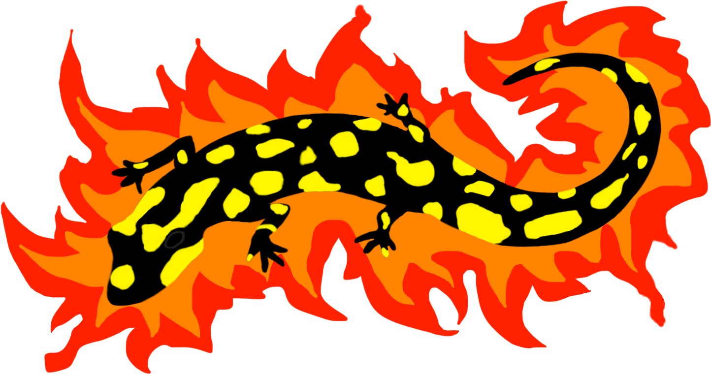 Salamander Flaming Ring, Adult Unisex, Dark Orange (1468x778), Png Download