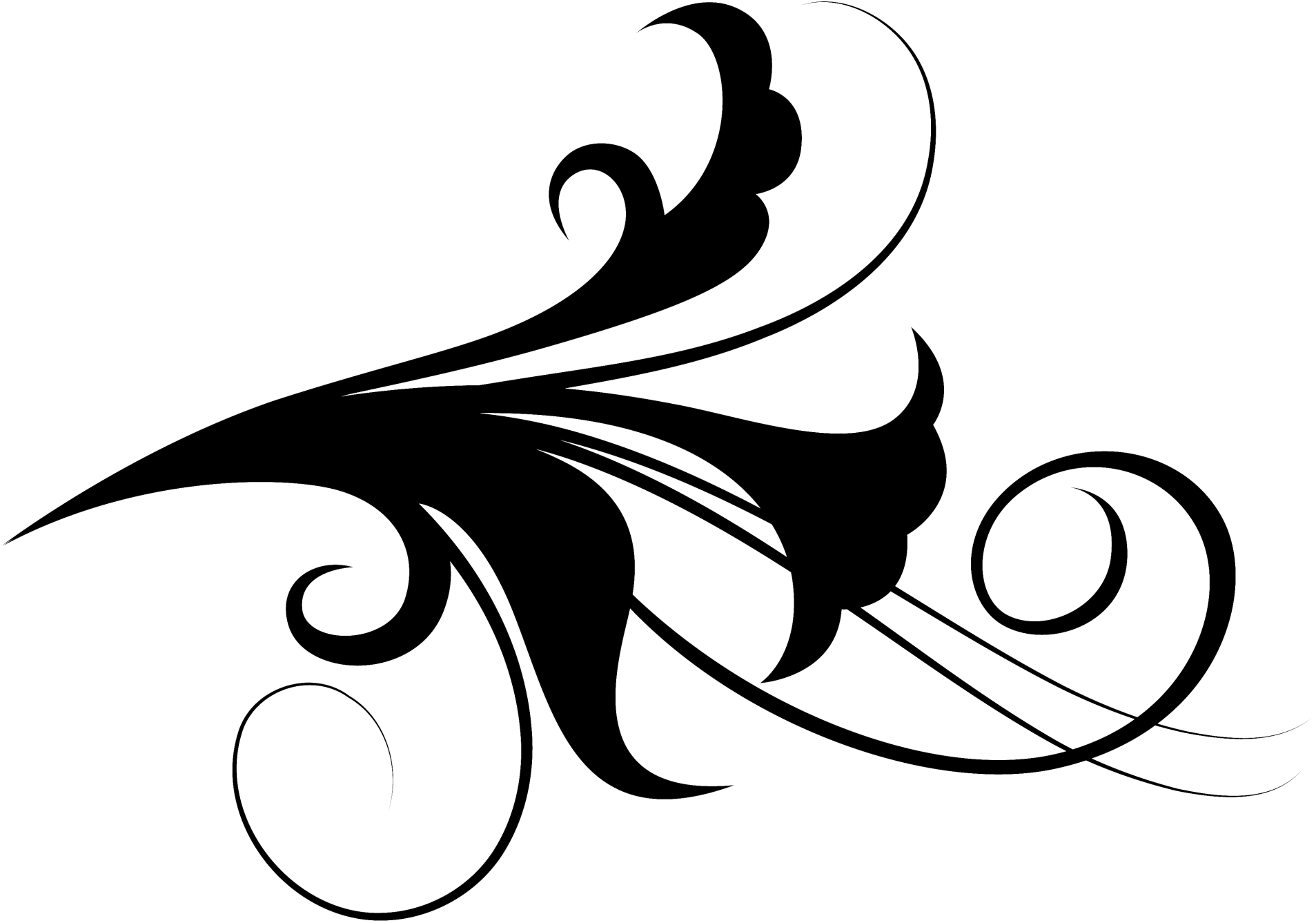 Everfaithfulphotograpy - Illustration (2000x1429), Png Download