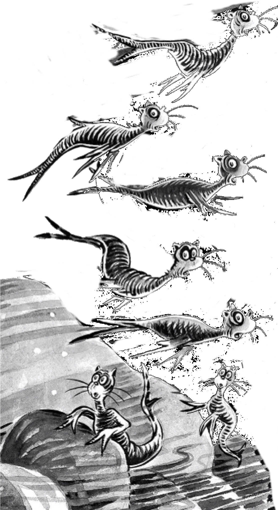 Catfish - Png (1110x2048), Png Download