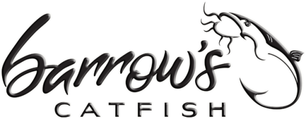 Barrow5 - Barrows Catfish (600x234), Png Download