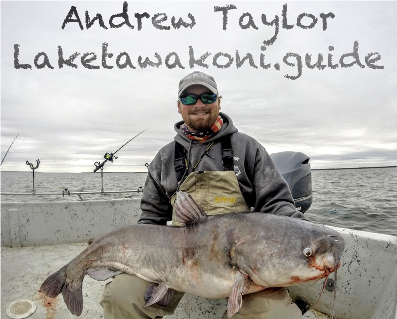 Blue Catfish Report Lake Tawakoni - Santa Takes A Vacation (1080x630), Png Download