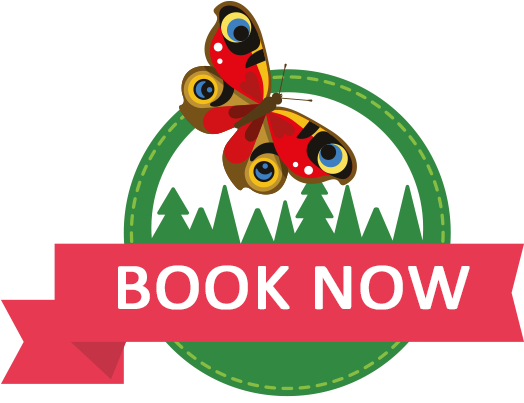 Schools & Groups - Graphics (523x412), Png Download