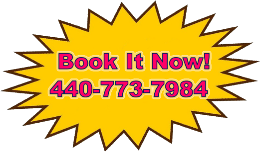 Book It Now Star Large - Circle (528x309), Png Download