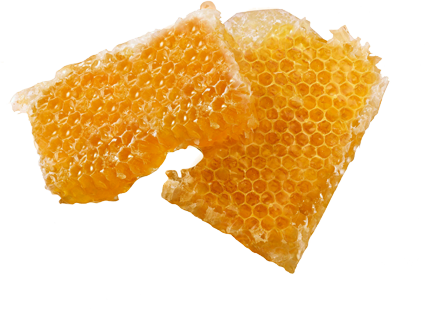 Improves Vitality And Resistance - Mandarin Orange (425x309), Png Download