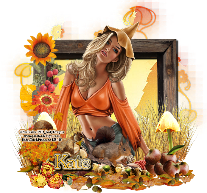 Ptu Fall Fox Cluster Frames - Connecticut (700x700), Png Download