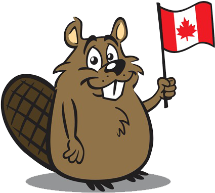 Beaver Png Free Download - Beaver Holding Canadian Flag (450x399), Png Download