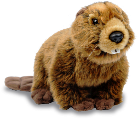 North American Beaver - North American Beaver Png (600x600), Png Download