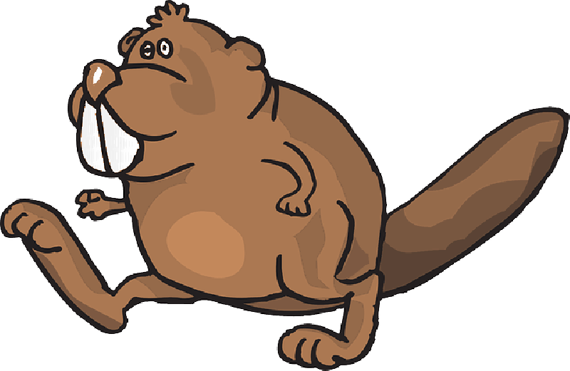 Mb Image/png - Animales En Movimiento Png (800x521), Png Download