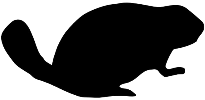 Beaver Png Image Background - Portable Network Graphics (1280x672), Png Download