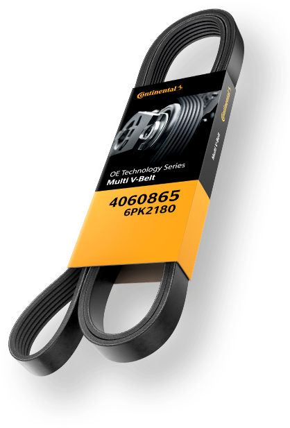 Belt Main - Portable Network Graphics (481x719), Png Download