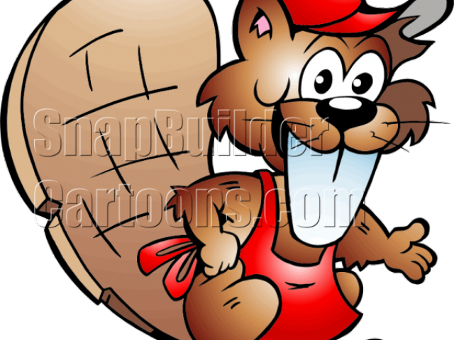 Drawn Buck Beaver - Beaver Mascot (640x480), Png Download