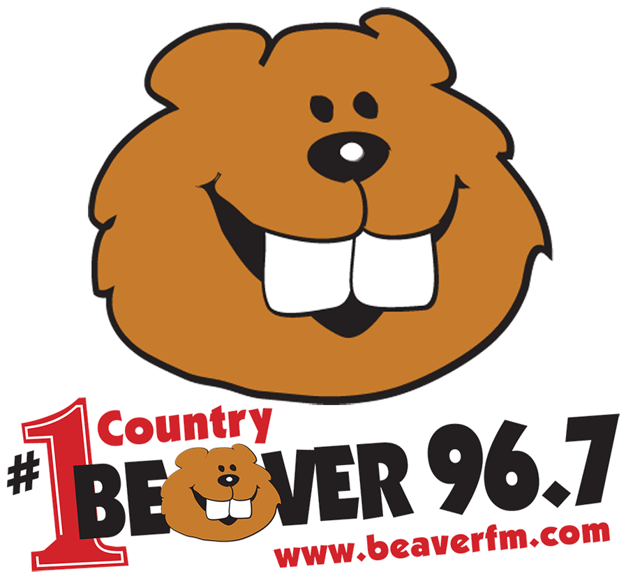 Beaver Icon - Wbvr-fm (900x900), Png Download