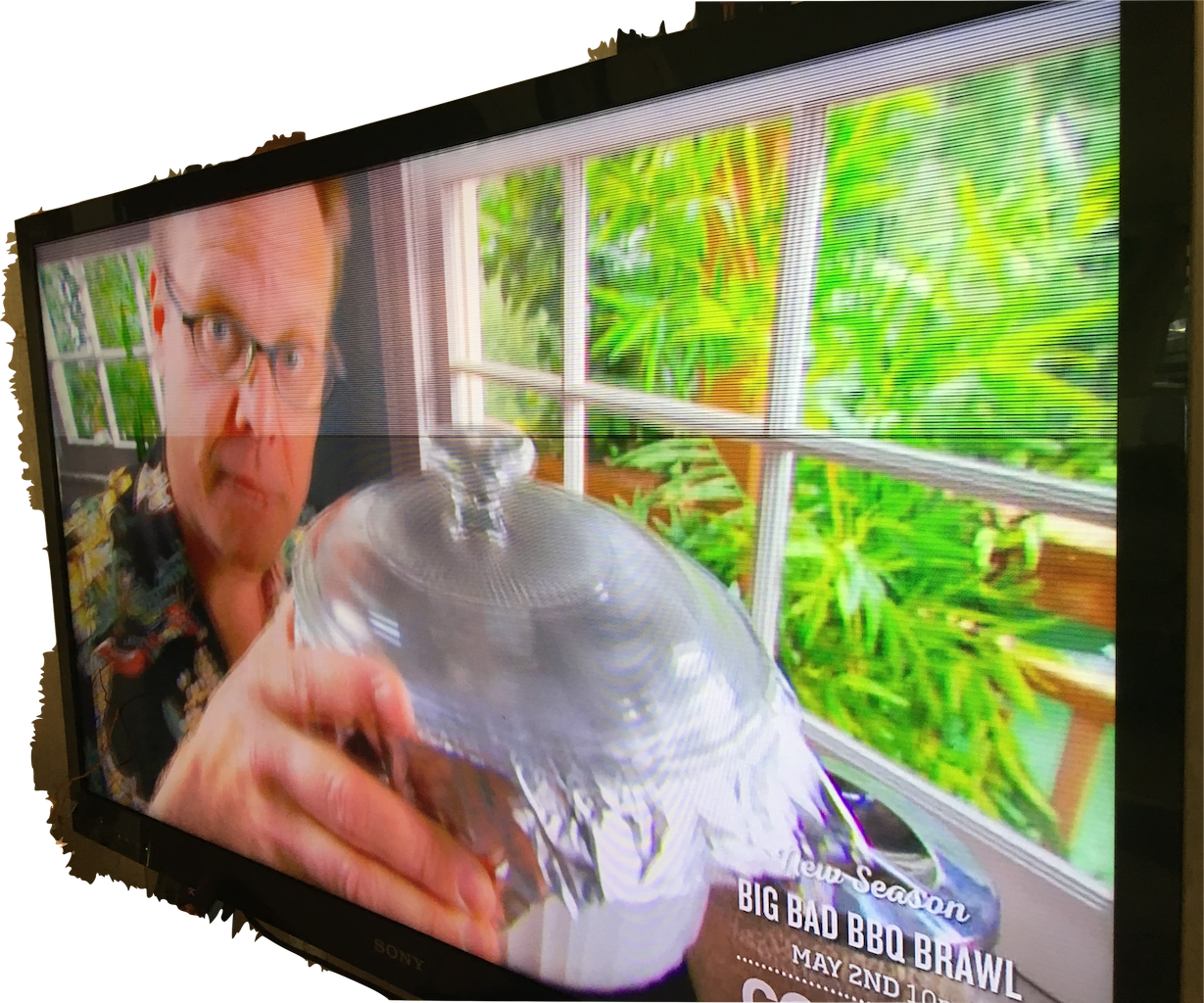 What Could Be Causing This Horizontal Lines On My Tv - Led-backlit Lcd Display (1229x1024), Png Download