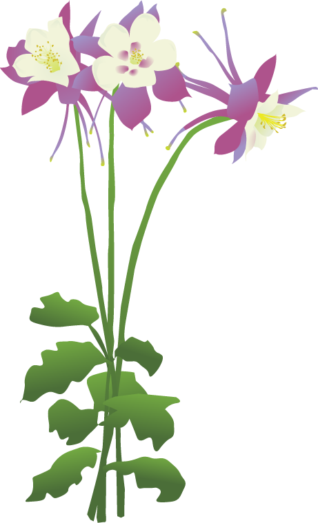 Encode Clipart To Base Convert - Columbine Flower Kids Clipart (461x759), Png Download