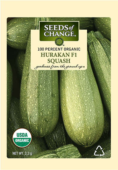 Organic Hurakan F-1 Squash Seeds - Seeds Of Change 21076 Organic Zesty Cln Quinoa Blend (573x573), Png Download