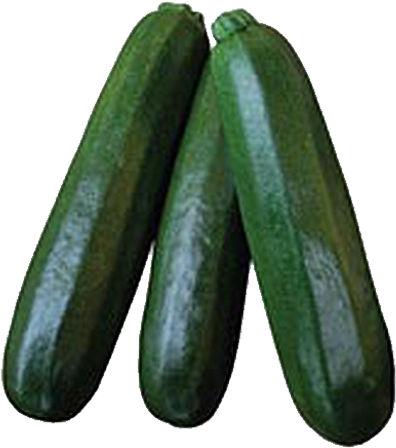 Commercial Seeds / Fruity / F1 Zucchini - Zucchini (510x510), Png Download