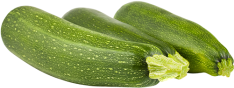 You Are Here - Zucchini (467x467), Png Download