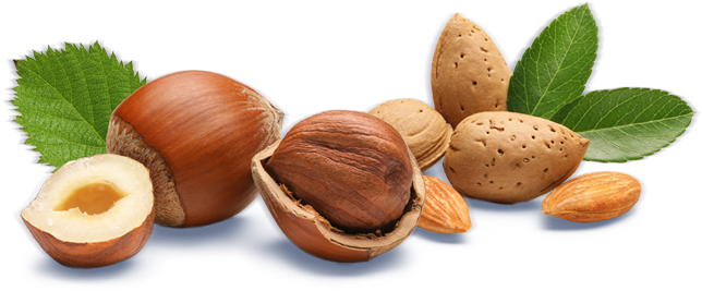 Hazelnut & Almond - Blvk Unicorn (992x376), Png Download