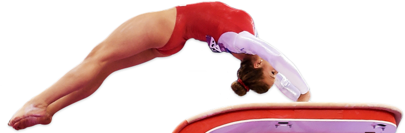 215 Days To Go - Artistic Gymnastics Png (837x273), Png Download