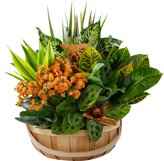 Garden (600x600), Png Download