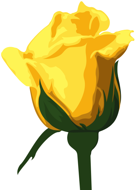 Yellow-rose - Yellow Rose Png (470x662), Png Download